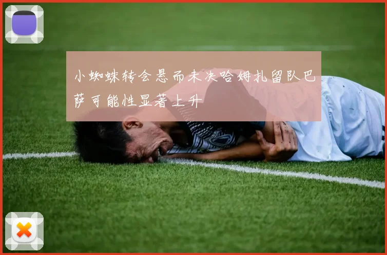 小蜘蛛转会悬而未决哈姆扎留队巴萨可能性显著上升