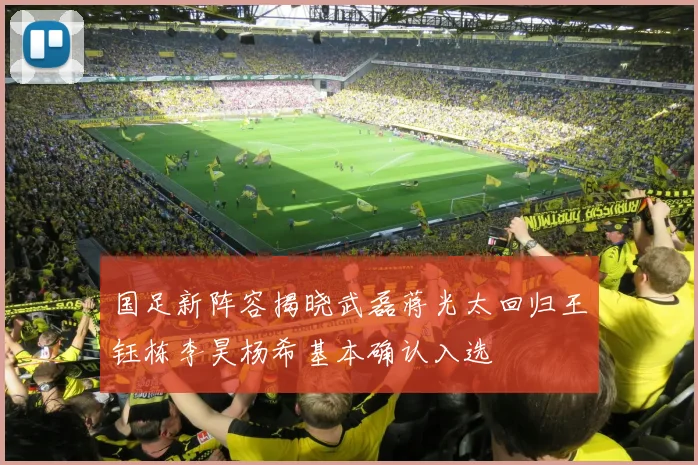 国足新阵容揭晓武磊蒋光太回归王钰栋李昊杨希基本确认入选